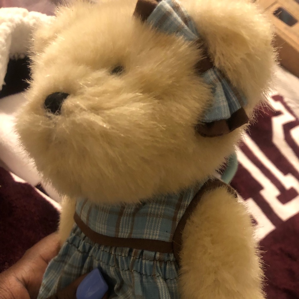 Boyd’s Bear - Picture 3 of 7
